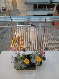 IMG_20251114_170838386_MFNR