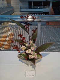 IMG_20251114_170821680_MFNR