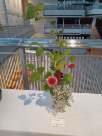 IMG_20251114_170755985_MFNR