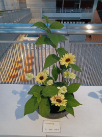 IMG_20251114_170746418_MFNR