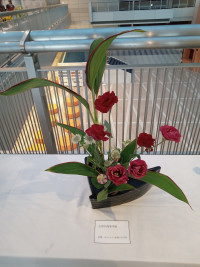 IMG_20251114_170736305_MFNR