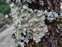 KIMG20251204_103526031