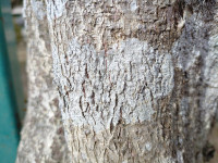 KIMG20251204_103555924