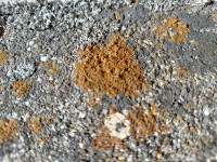 KIMG20251204_103131241