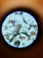 KIMG20251204_104540161