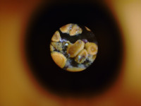 KIMG20251204_103405520