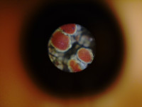 KIMG20251204_103429654