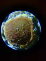 KIMG20251204_092148639