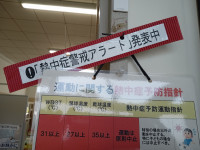 IMG_20250514_100920530_MFNR
