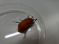 KIMG20250630_081242167