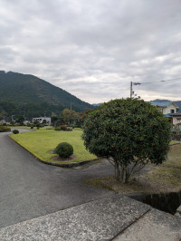PXL_20251007_223121472