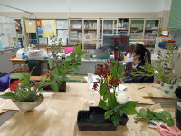 IMG_20251107_174711042_MFNR