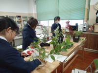 IMG_20251107_165617446_MFNR