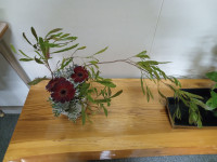 IMG_20251107_180744382_MFNR