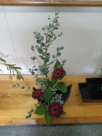 IMG_20251107_180841944_MFNR