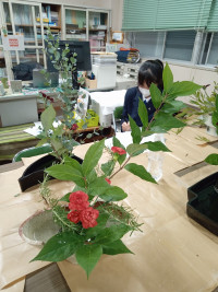 IMG_20251107_174702580_MFNR