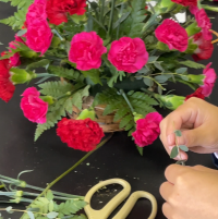 画像 -20251117-064802-e19c5553