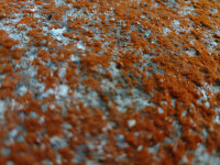 KIMG20251216_111005723