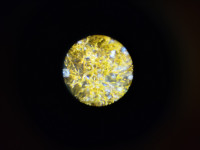 KIMG20251216_110936892