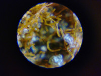 KIMG20251216_110858523