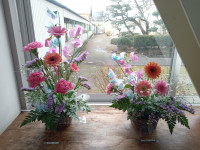 IMG_20260115_144911967_MFNR