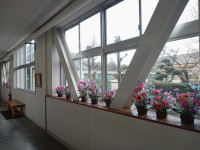 IMG_20260115_145032565_MFNR