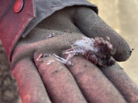 画像 -20260122-003512-71a049052