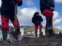 画像 -20260122-023048-afe603bc2