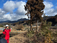 画像 -20260122-030358-0595b3a9