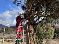 画像 -20260122-003803-afccdefd