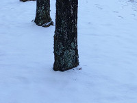 KIMG20260203_134700644