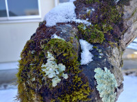 KIMG20260203_134458892