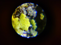 KIMG20260120_143040625