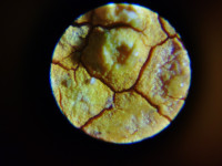 KIMG20260120_142825265