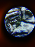 KIMG20260120_141828552