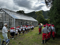 Image (4)