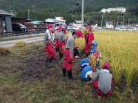 IMG_20260917_144242686