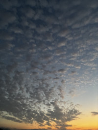 Image (1)